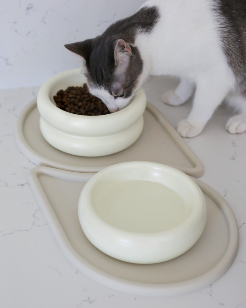 grey and white aesthetic cat eating from elevated cat bowl that is a cat food bowl and cat water bowl on raindrop shaped pet feeding mat by catenary home modern cat furniture company that can be used as a cat food mat and dog food mat or pet meal mat on marble countertop 