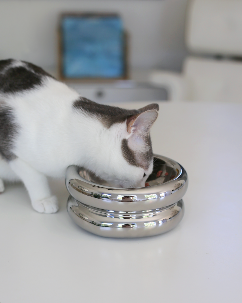 Chrome Halo Pet Bowl | Catenary Home