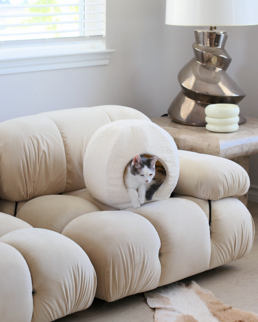 boucle cat cave bed that is the best cat cave by catenary home modern cat furniture company  with aesthetic cat inside on modern couch in living room 