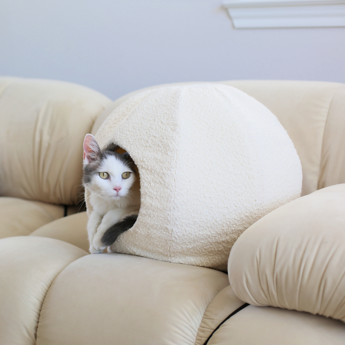 grey and white cat in cat bed cave or cat cave that is a covered modern cat bed in white boucle on couch in aesthetic home