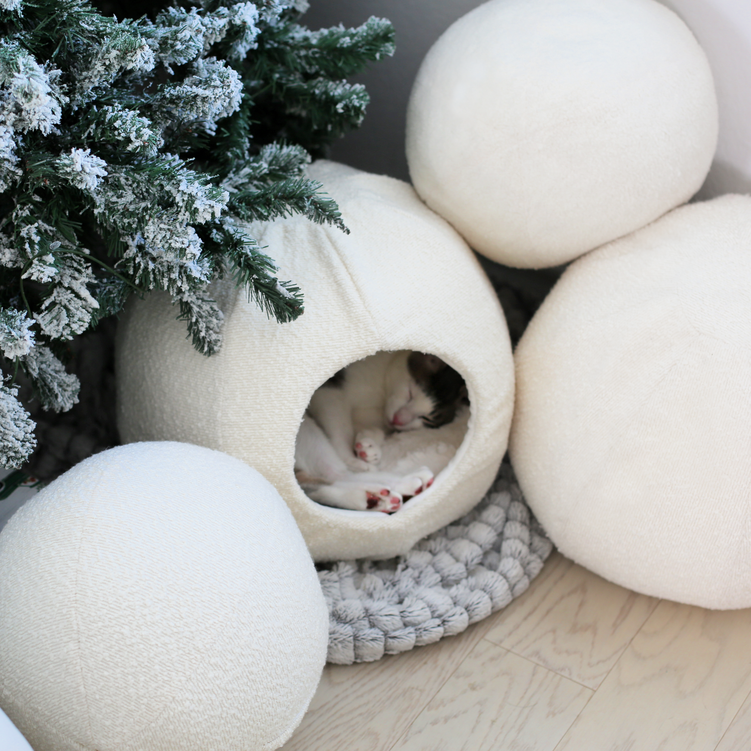 grey and white cat sleeping in cat cave under christmas tree by catenary home best luxury cat bed and best cat cave surrounded by boucle cushions covered to be a cat igloo, and enclosed cat bed, and cat hideaway all in one