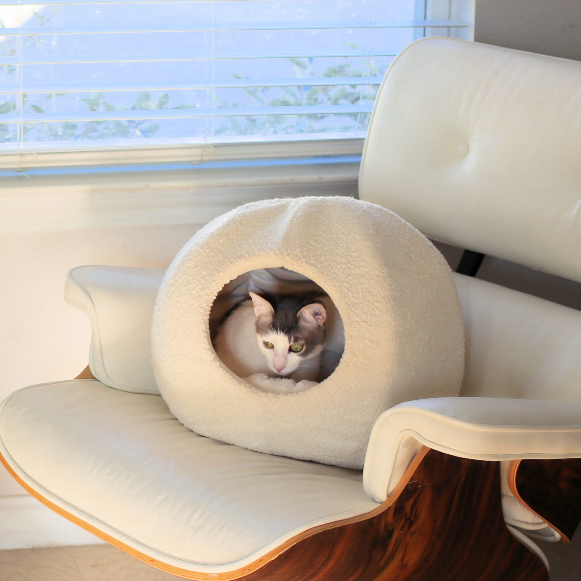 grey and white cat in cat hideaway cat cave bed by catenary home on eames herman miller chair is like a cat igloo, cat nest and cat hideaway all in one