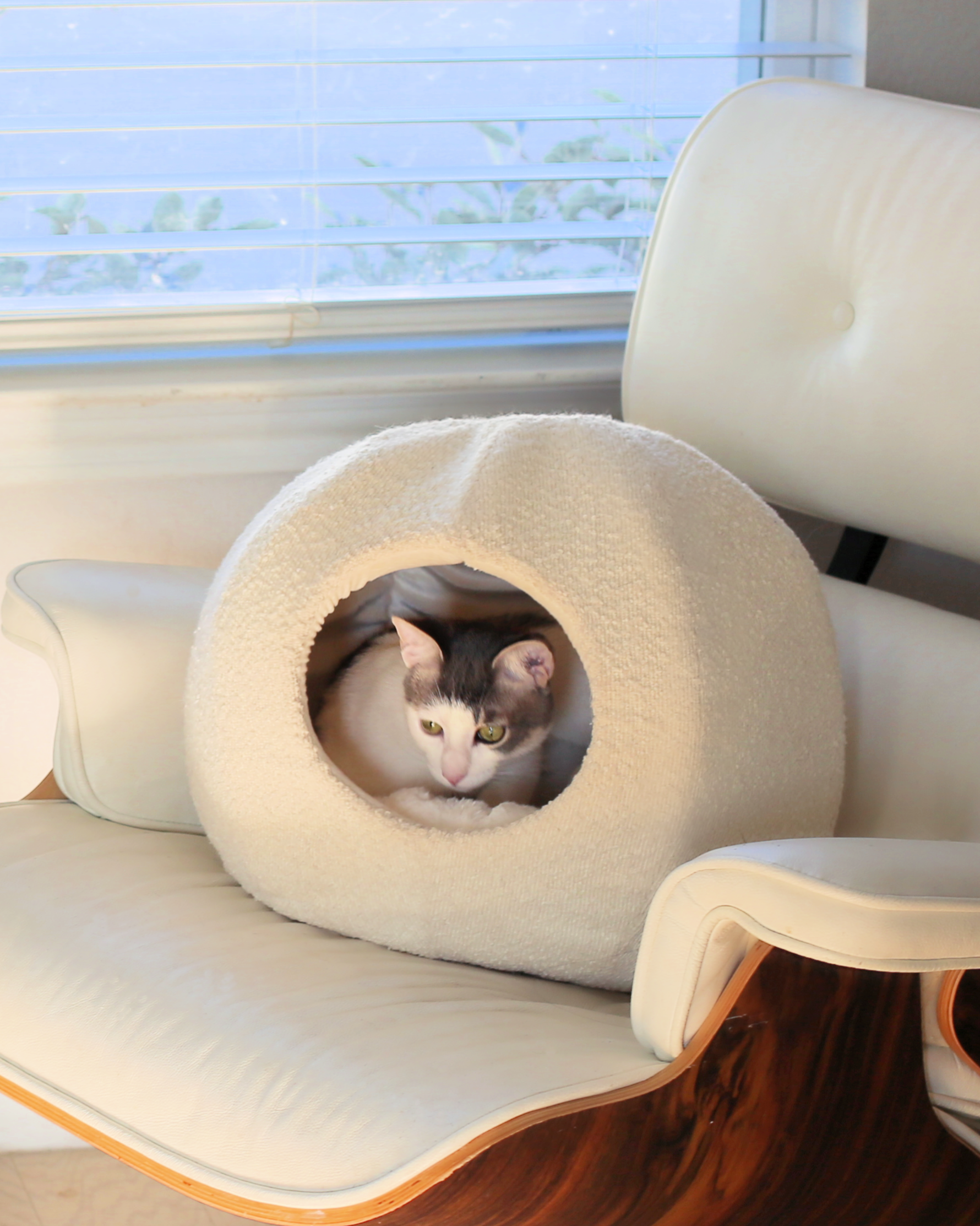 boucle cat cave bed that is the best cat cave by catenary home modern cat furniture company  with aesthetic cat inside on eames lounge chair in living room next to window