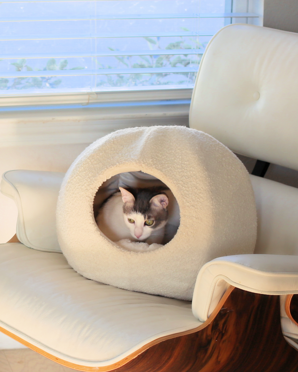 Moon Cat Cave