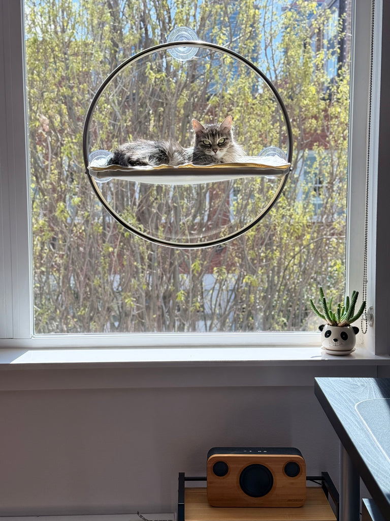 Orbit Cat Window Hammock – Catenary Home