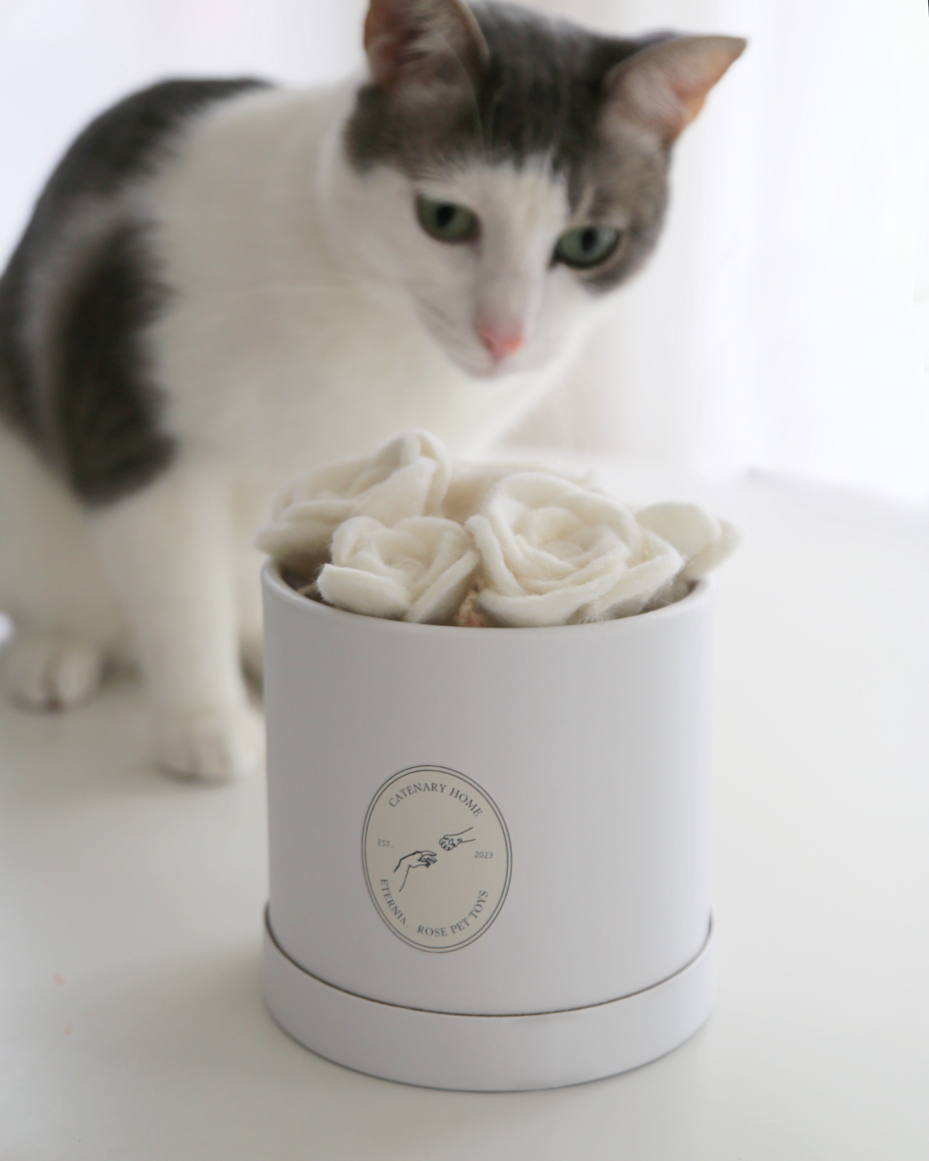 cat rose toy What is the Rose Toy and why is TikTok obsessed with it?