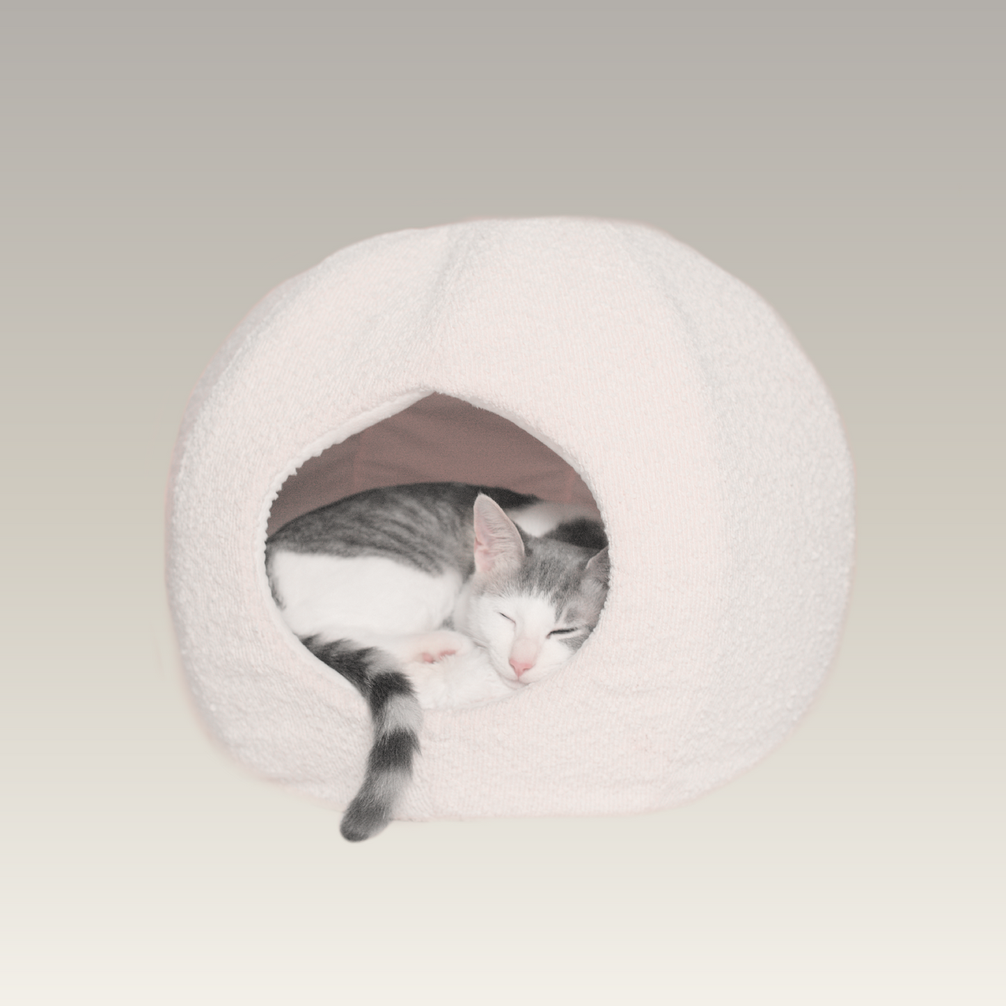 moon cat cave with grey and white cat sleeping inside by catenary home modern cat furniture on gradient product background is like a cat igloo, cat nest and cat hideaway all in one