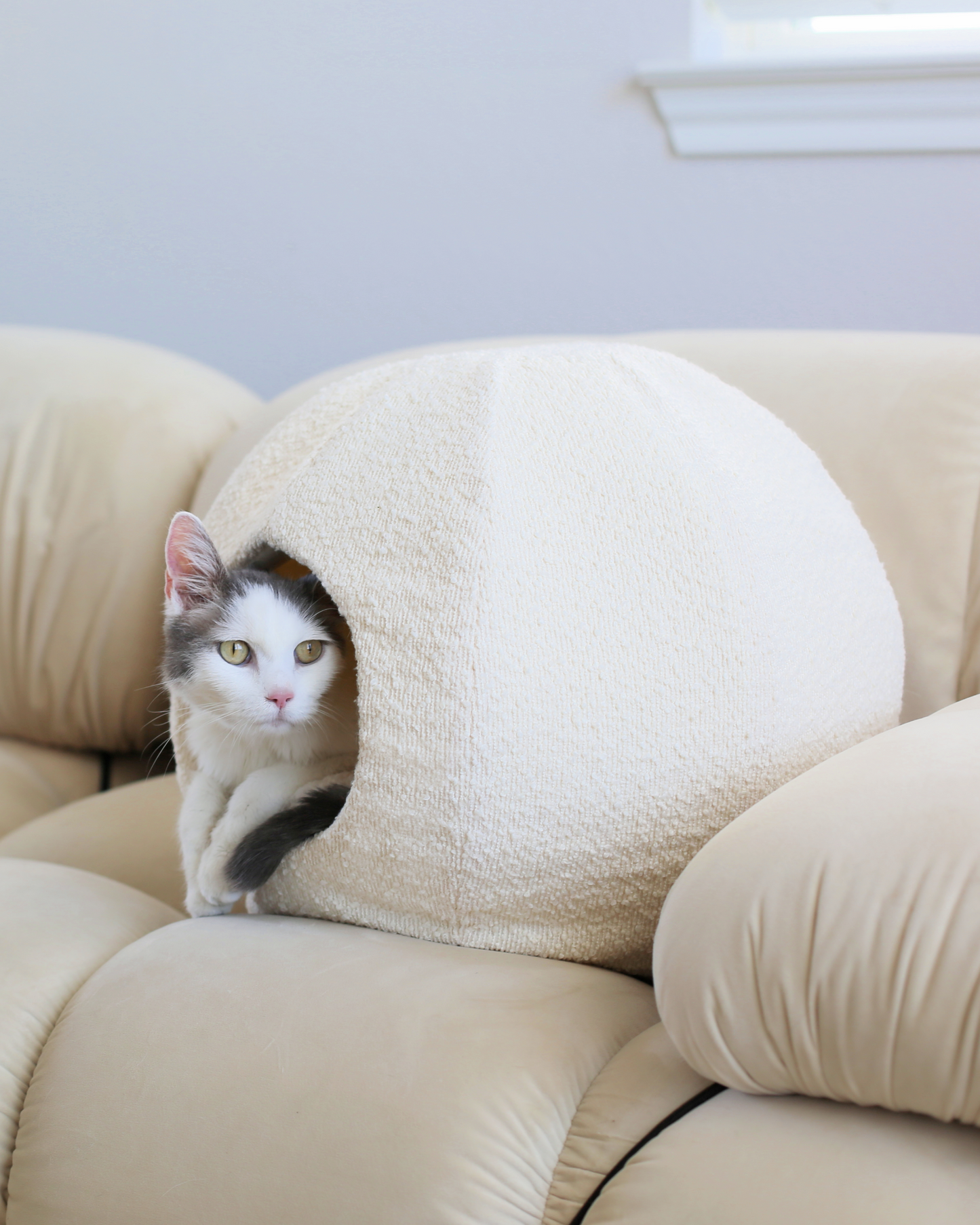 boucle cat cave bed that is the best cat cave by catenary home modern cat furniture company  with aesthetic cat inside on modern couch in living room 