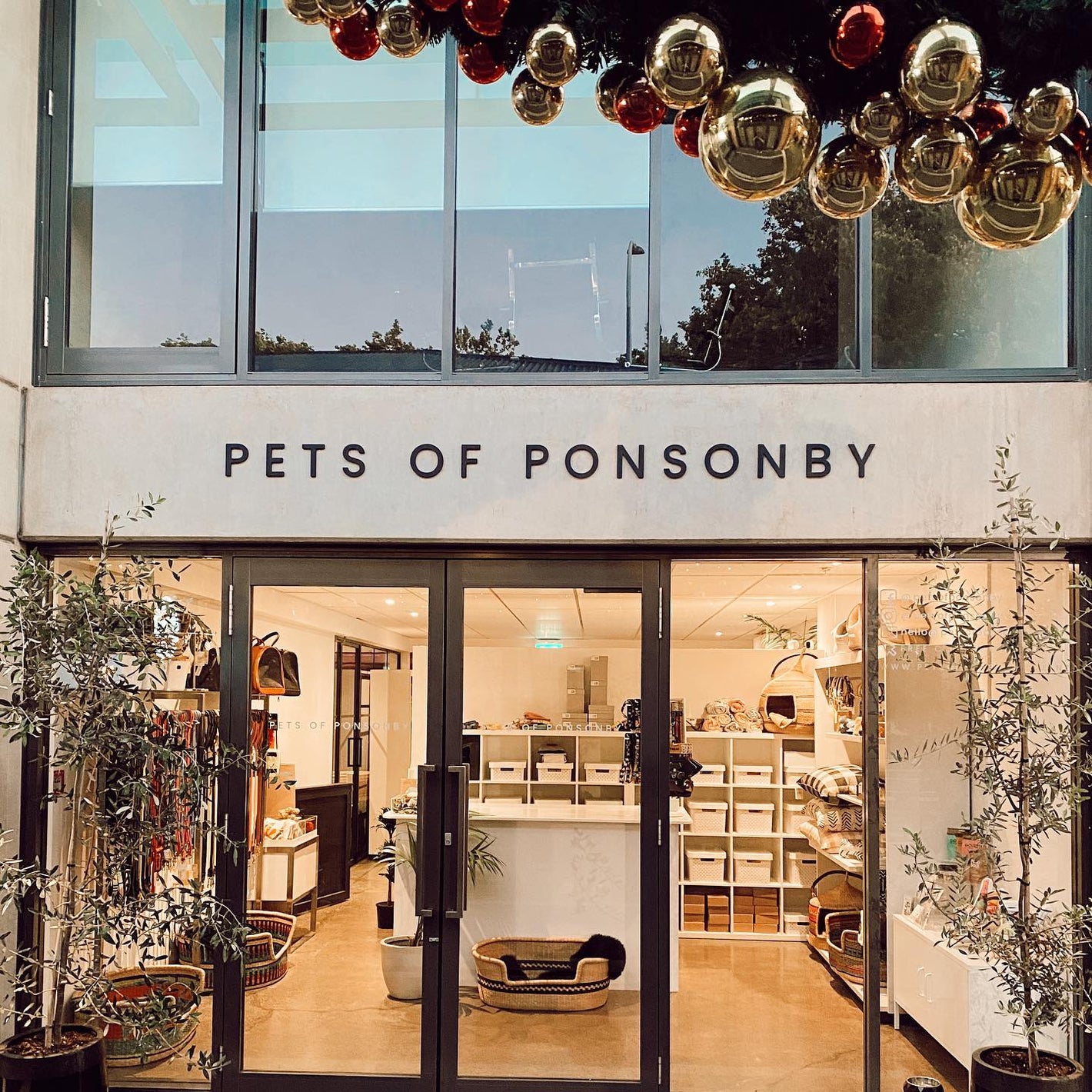 wholesale catenary modern cat furniture at pets of ponsonby modern pet store boutique