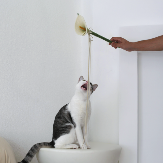 cat biting cat toy wand by catenary home called flora calla lily design modern cat furniture