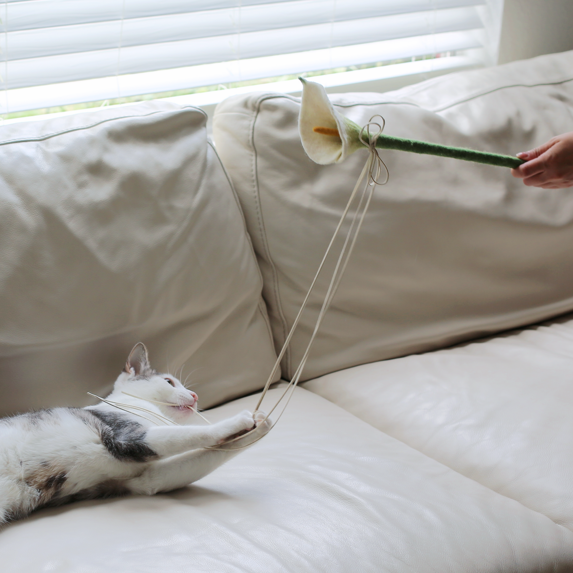 cat playing with wool cat wand by catenary home that is a calla lily flower design toy wand teaser