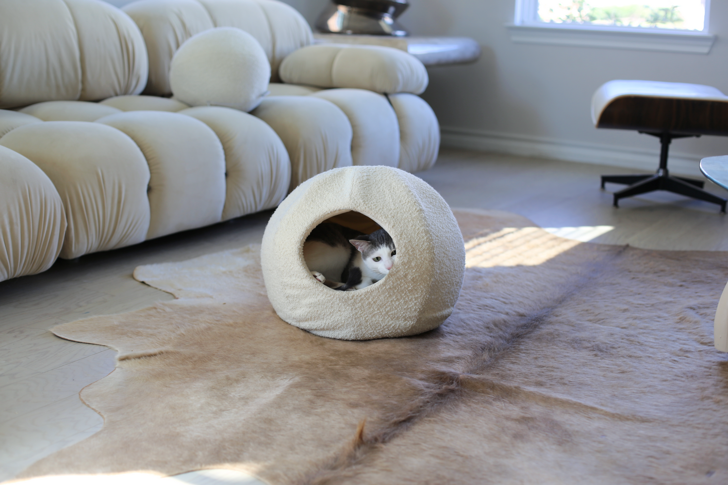 luxury boucle cat cave bed by catenary home that is a cat cave with a grey and white cat in a modern living room on the floor of a cowhide rug