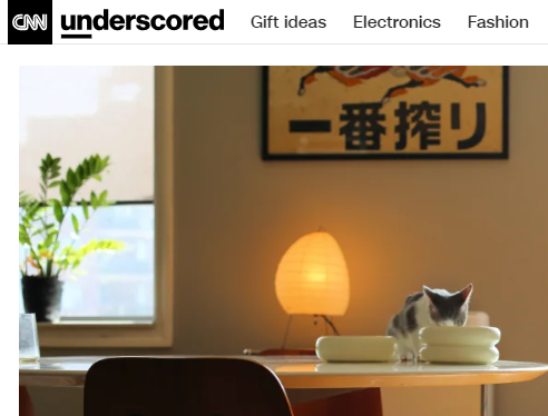 cnn underscored featuring catenary best cat bowls and best elevated cat bowl article