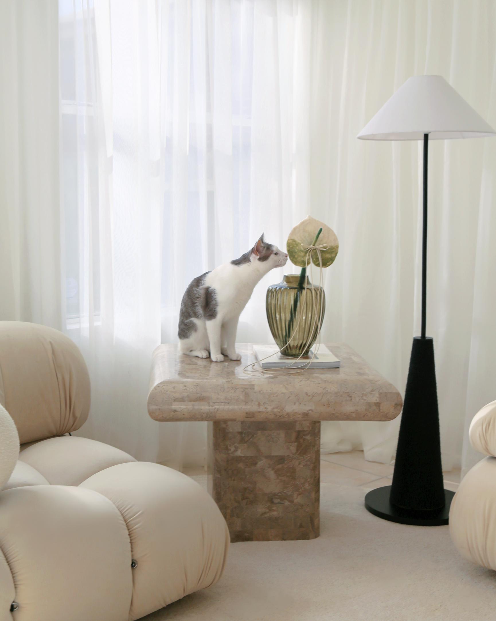anthurium and cats Anthurium Flora | Cat Teaser Wand Toy