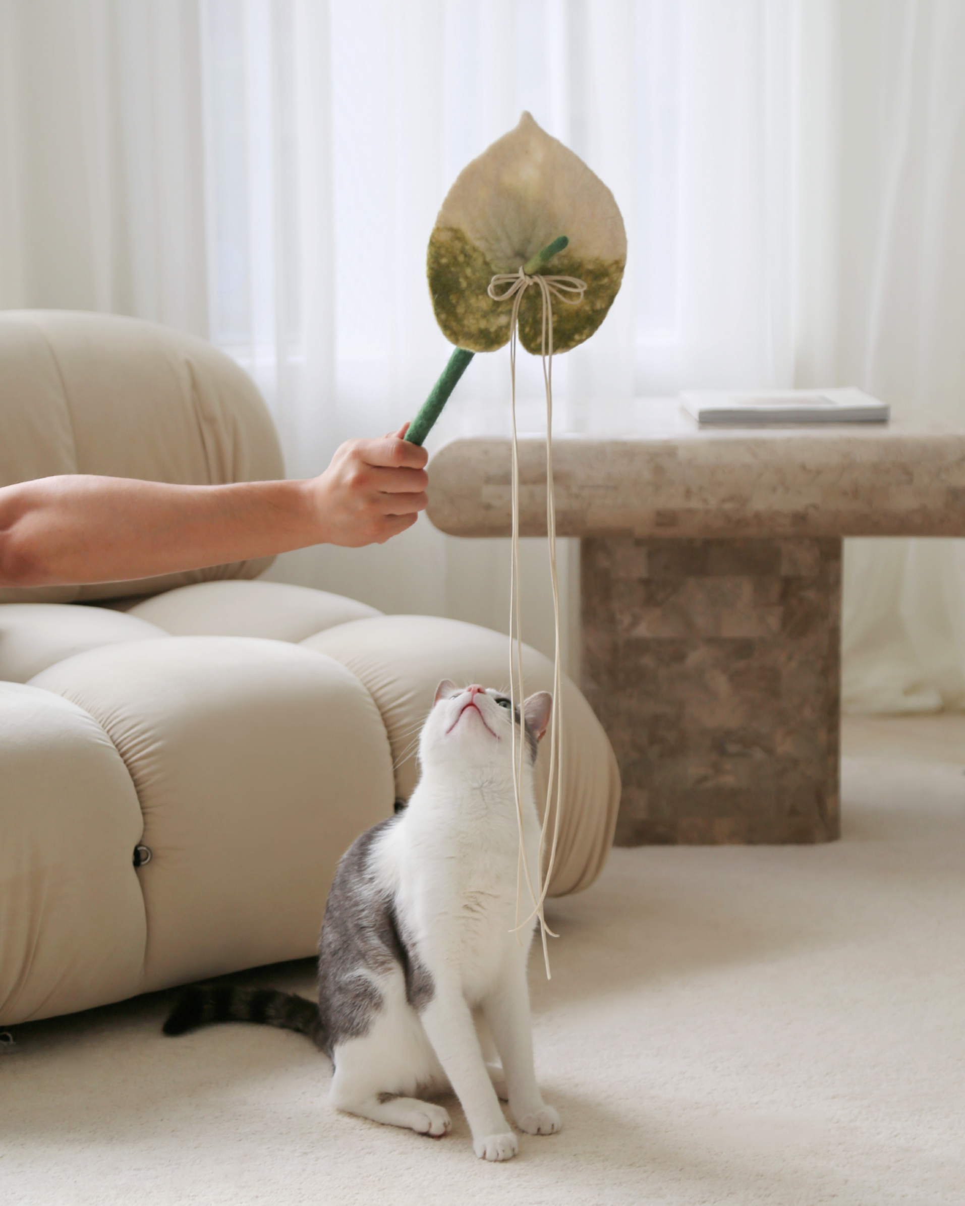 anthurium plant cat Anthurium Flora | Cat Teaser Wand Toy