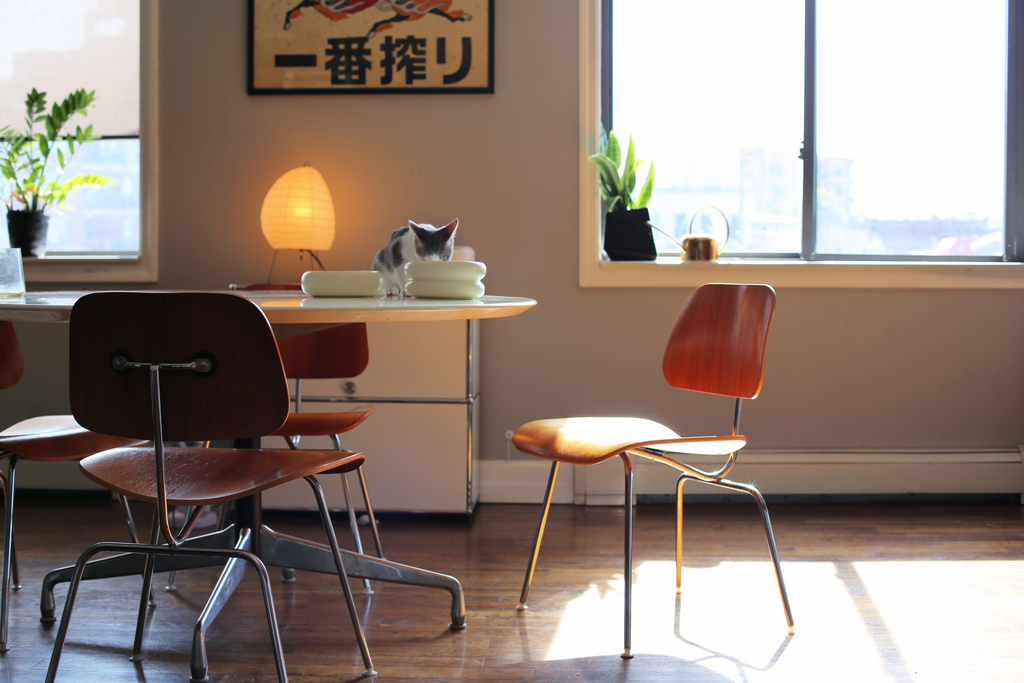 Sunlit modern dining room featuring Catenary Home's best modern cat furniture, with a cat enjoying a meal from the best elevated cat bowls on a sleek wooden table. Mid-century modern chairs and decor complement the minimalist, cozy space.