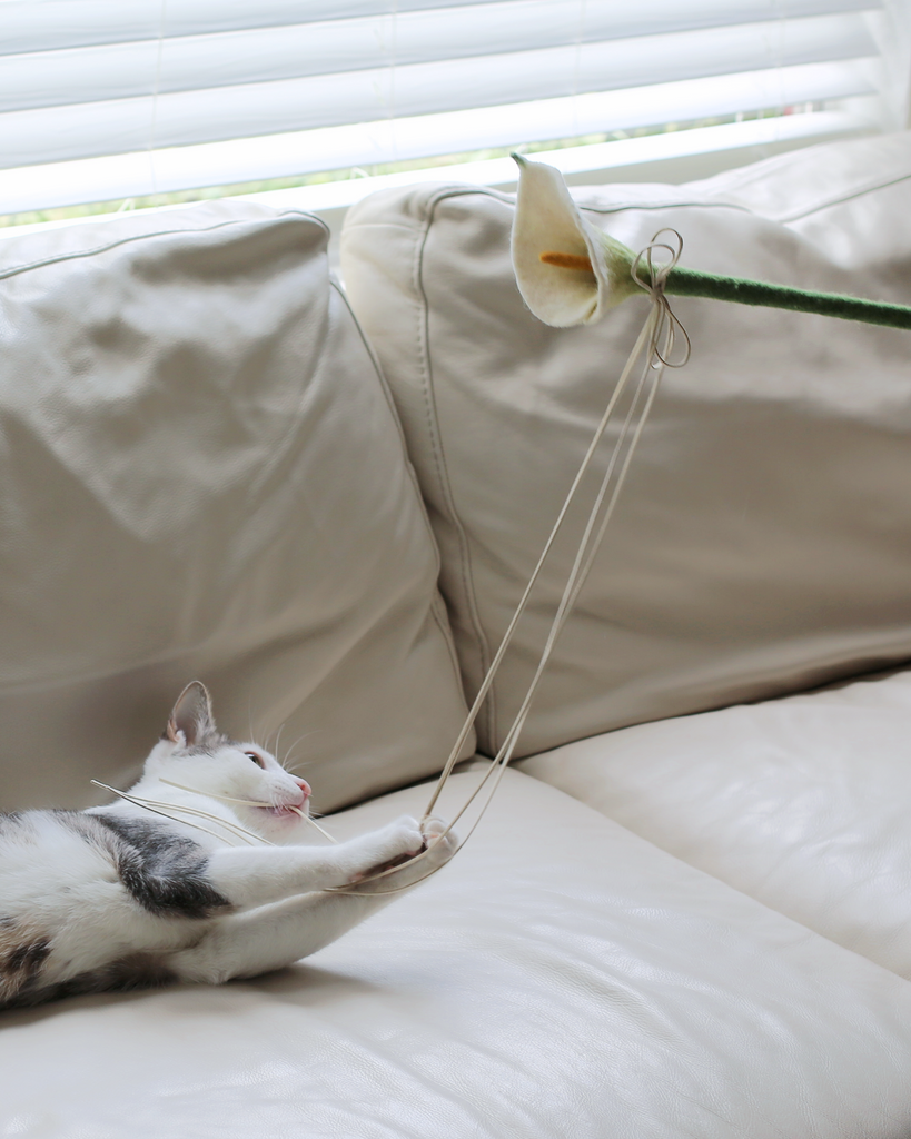 interactive cat toy wand by catenary home modern cat furniture company with grey and white aesthetic cat playing with aesthetic cat toy that is a calla lily teaser wand on white leather couch