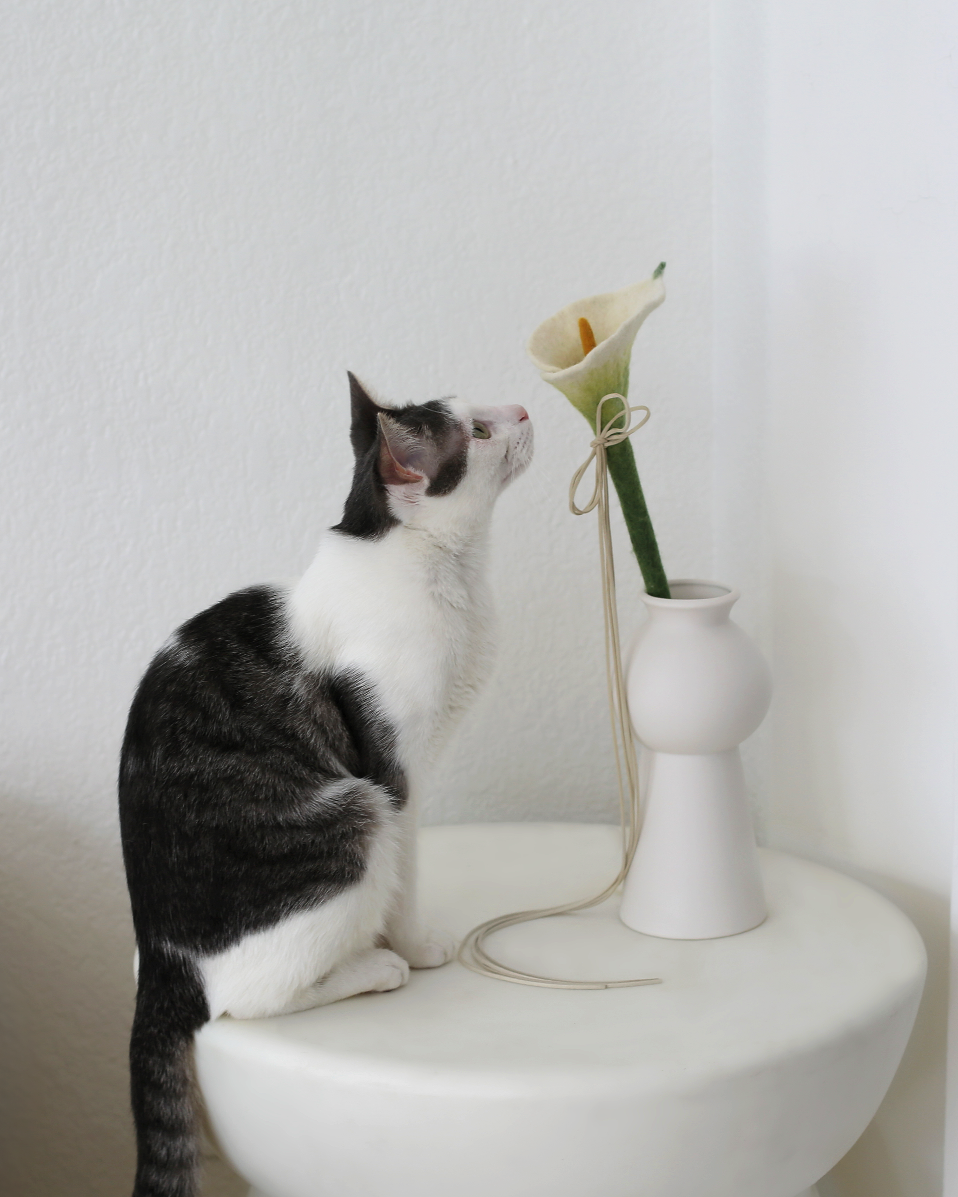 interactive cat toy wand by catenary home modern cat furniture company with grey and white aesthetic cat playing with aesthetic cat toy that is a calla lily teaser wand in vase