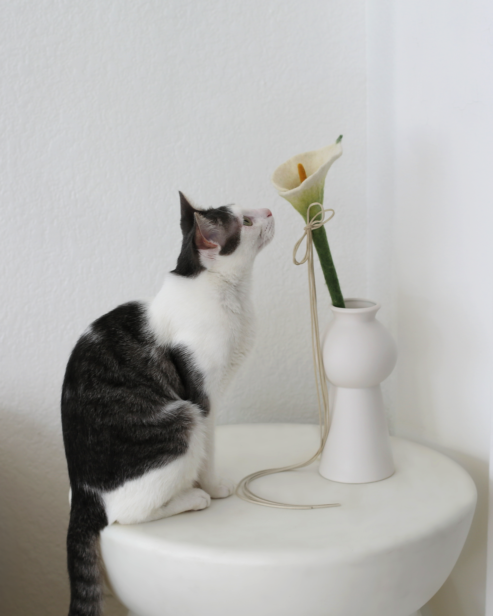 Flora Calla Lily Cat Teaser Wand Toy | Catenary Home