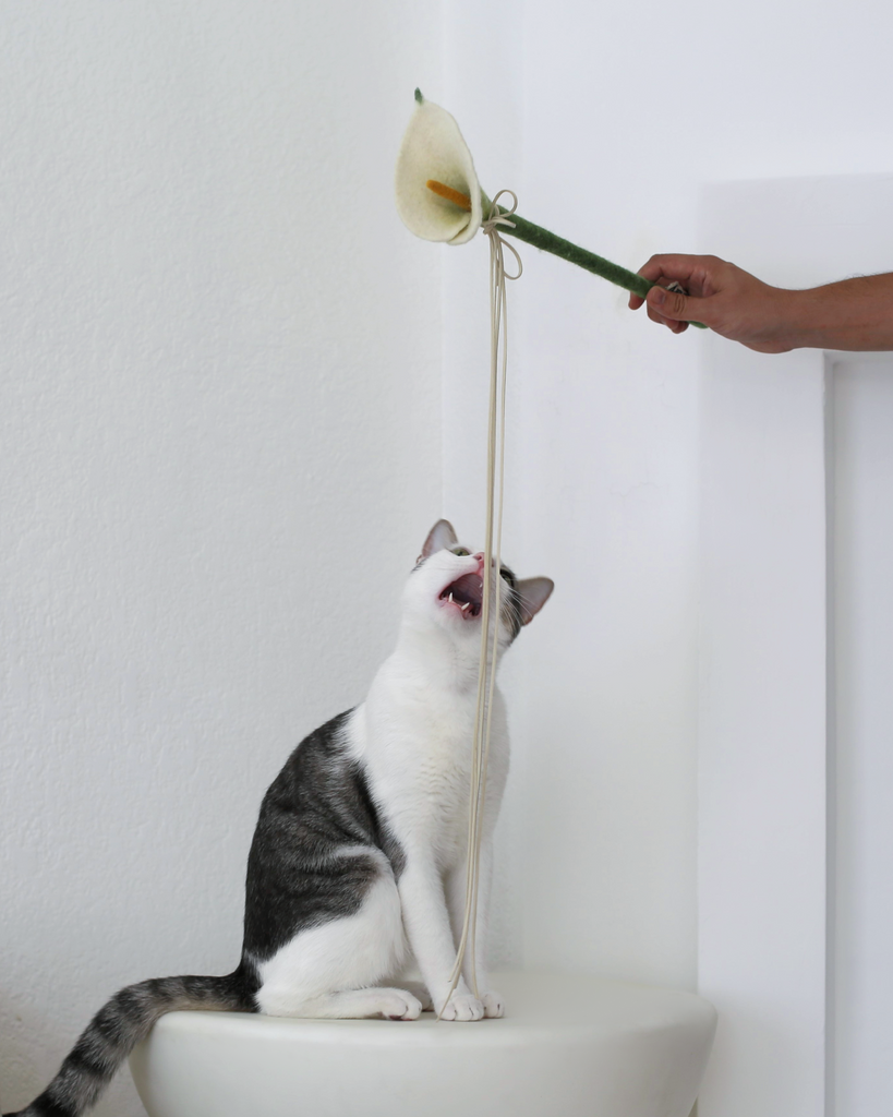 interactive cat toy wand by catenary home modern cat furniture company with grey and white aesthetic cat playing with aesthetic cat toy that is a calla lily teaser wand