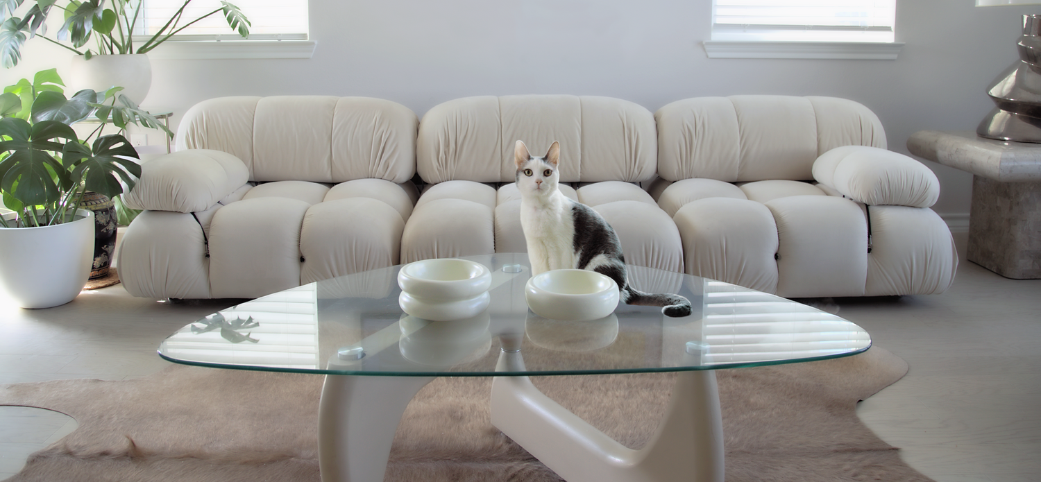 modern cat furniture living room with camaleonda mario bellini couch best cat bowls and cat by catenary home