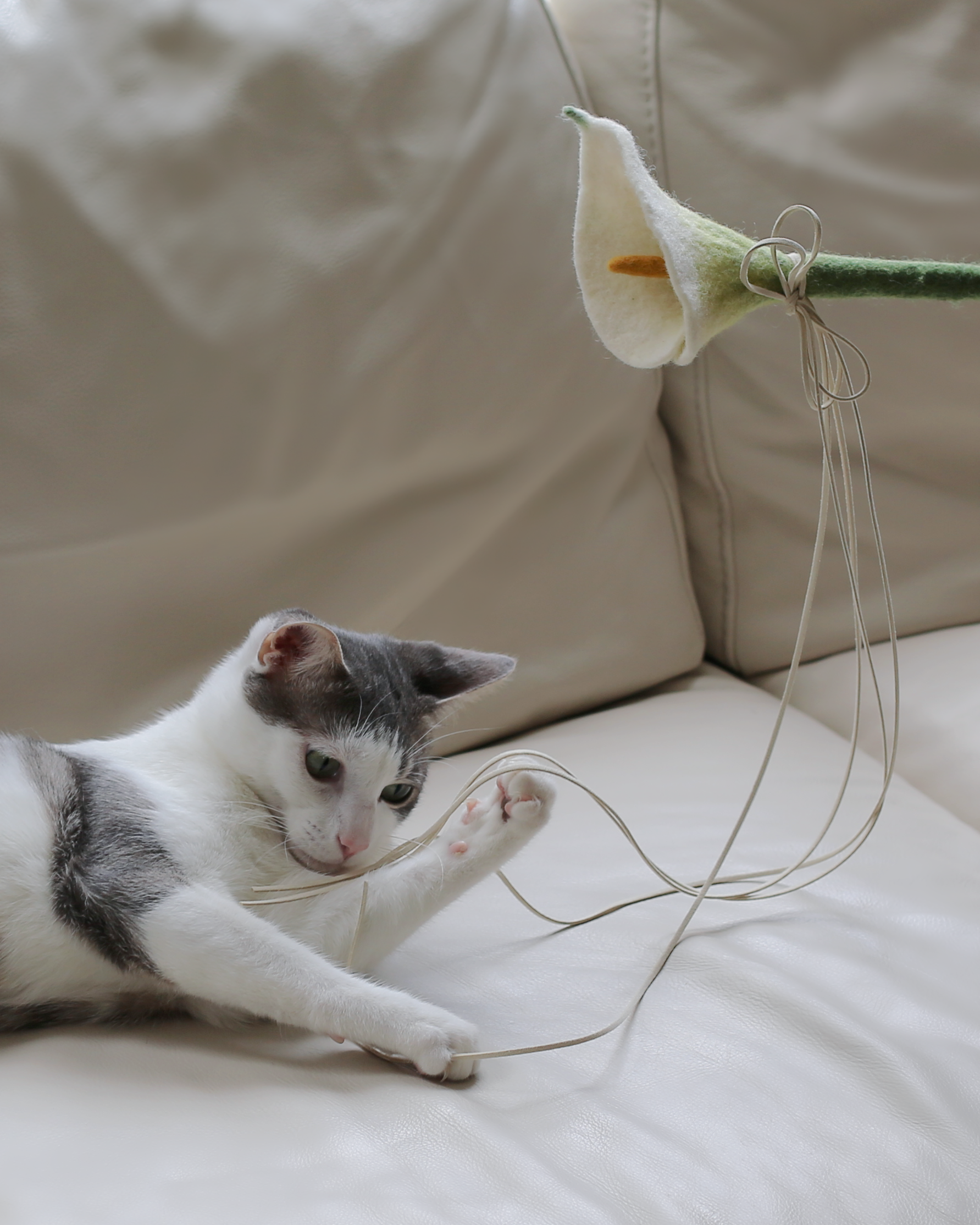Flora Calla Lily Cat Teaser Wand Toy - Catenary Home