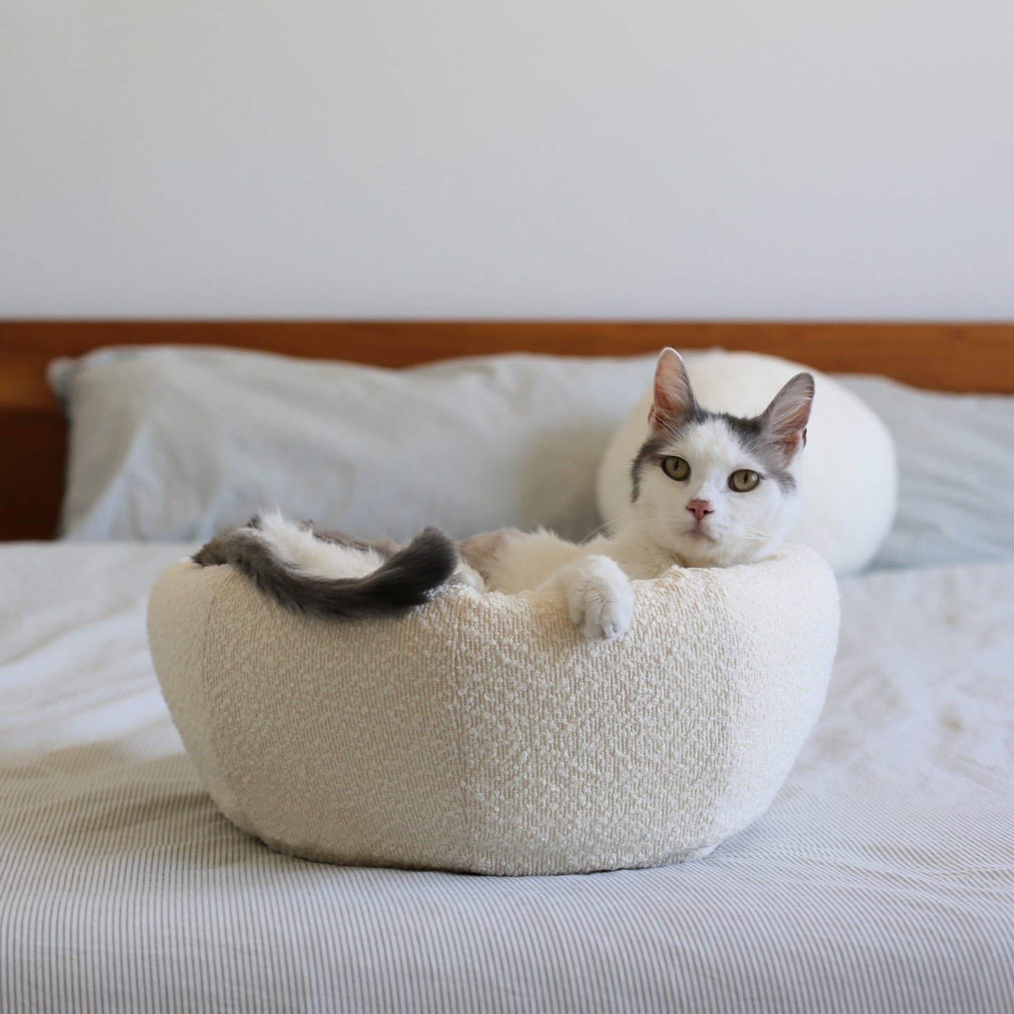modern warm cat bed and cat nest on bed with grey and white cat in modern and aesthetic bedroom home
