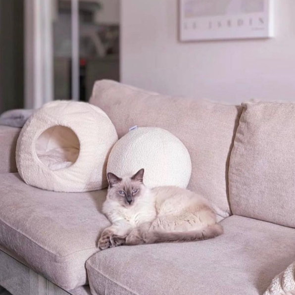 siberian cat with the best cat cave bed by catenary home in modern minimalist living room covered to be a cat igloo, and enclosed cat bed, and cat hideaway all in one